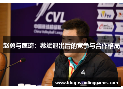 赵勇与匡琦：蔡斌退出后的竞争与合作格局