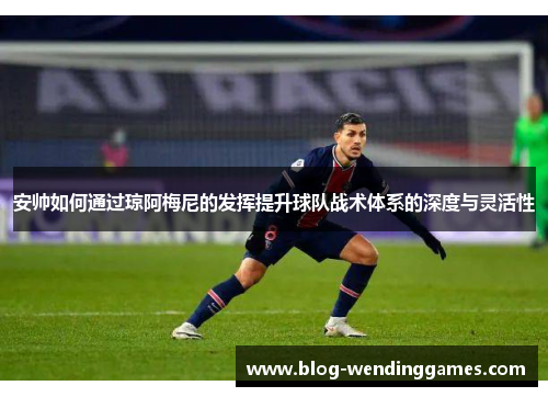安帅如何通过琼阿梅尼的发挥提升球队战术体系的深度与灵活性